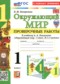Гдз по Окружающему миру 1 класс Окружающий мир 1 класс проверочные работы Погорелова Н.Ю.